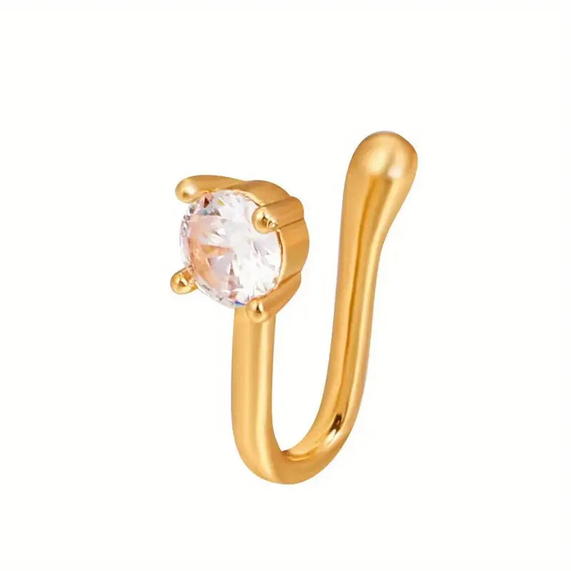 Bagues à Nez