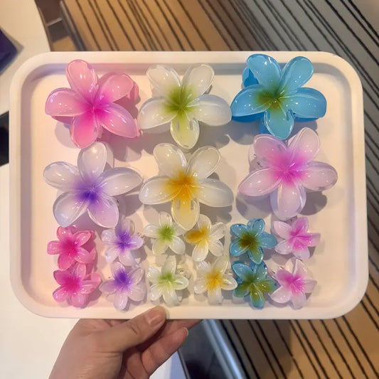 Barrettes Hibiscus