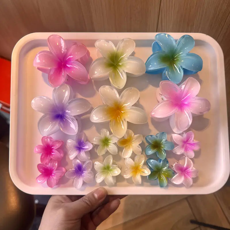 Barrettes Hibiscus